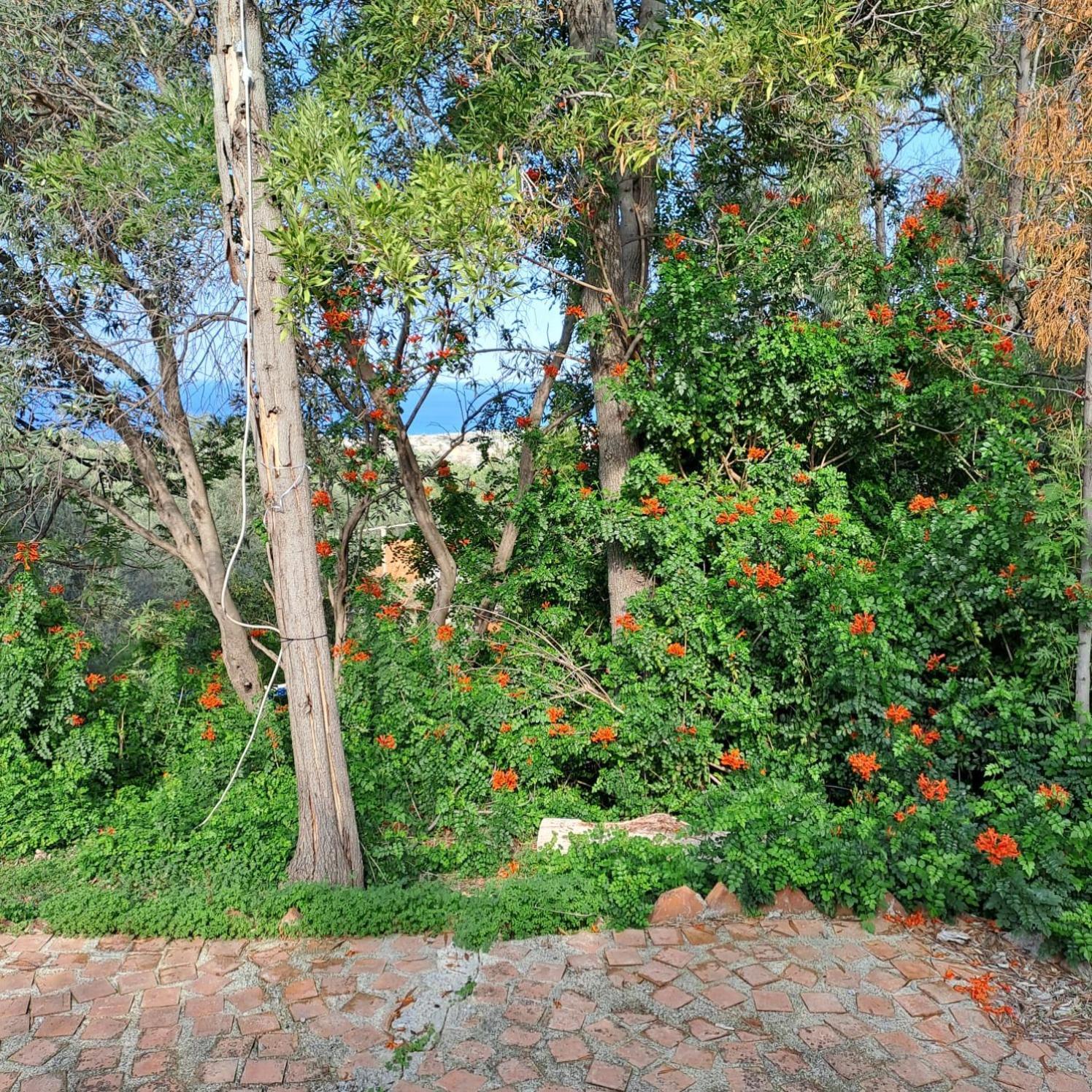 Villa Gatto Rometta Marea Εξωτερικό φωτογραφία